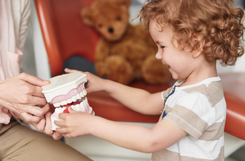 what to expect at child's first dental appointment